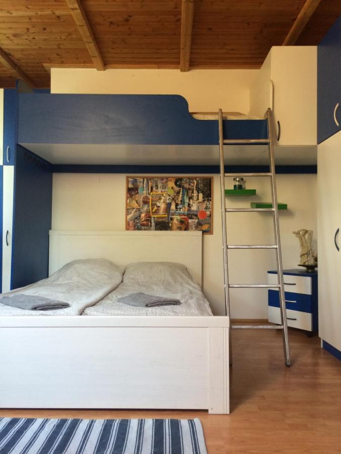 Cosy Rooms On The Lake Near Budapest And The Airport Isaszeg Buitenkant foto
