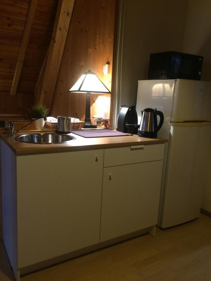Cosy Rooms On The Lake Near Budapest And The Airport Isaszeg Buitenkant foto